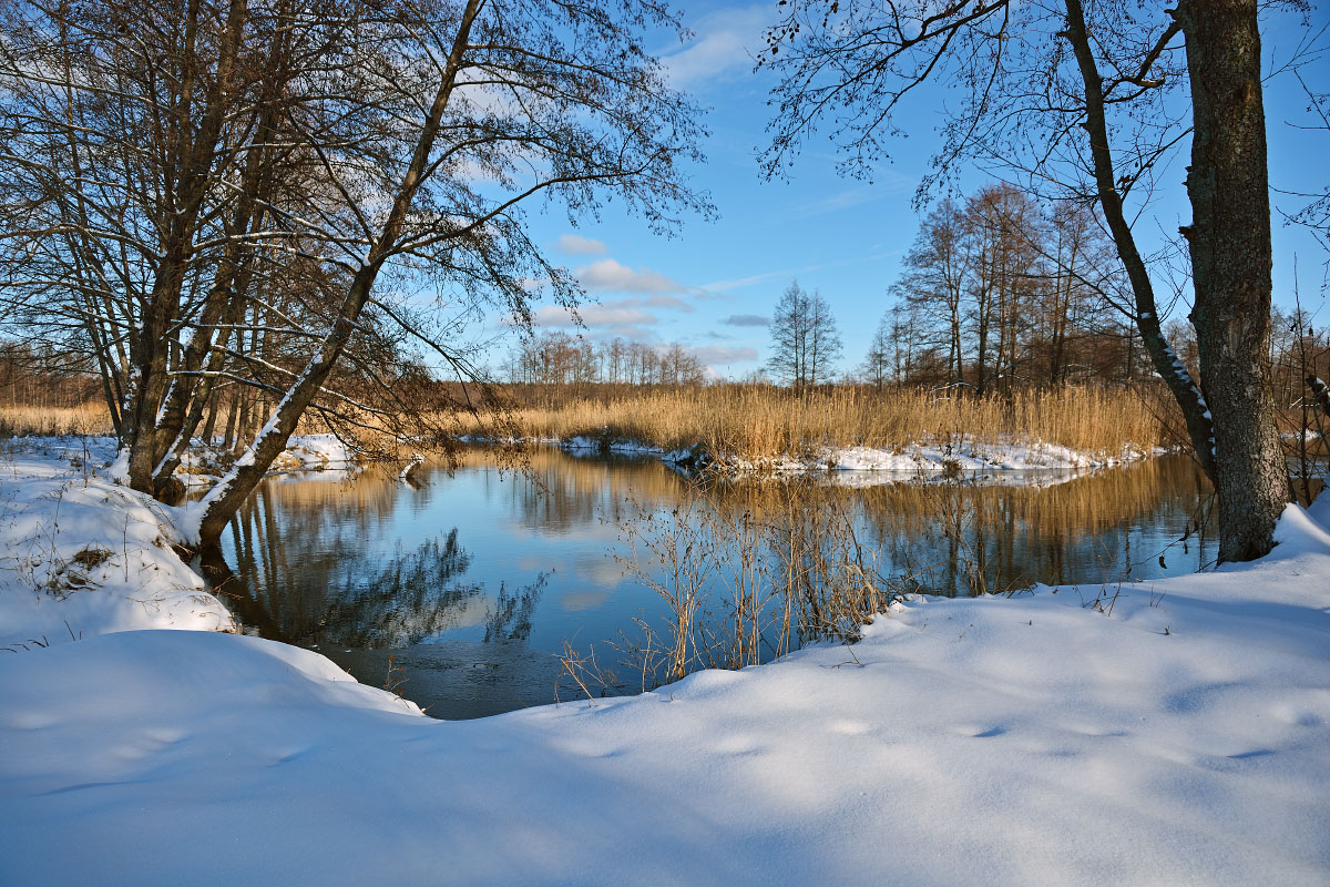 Warm February