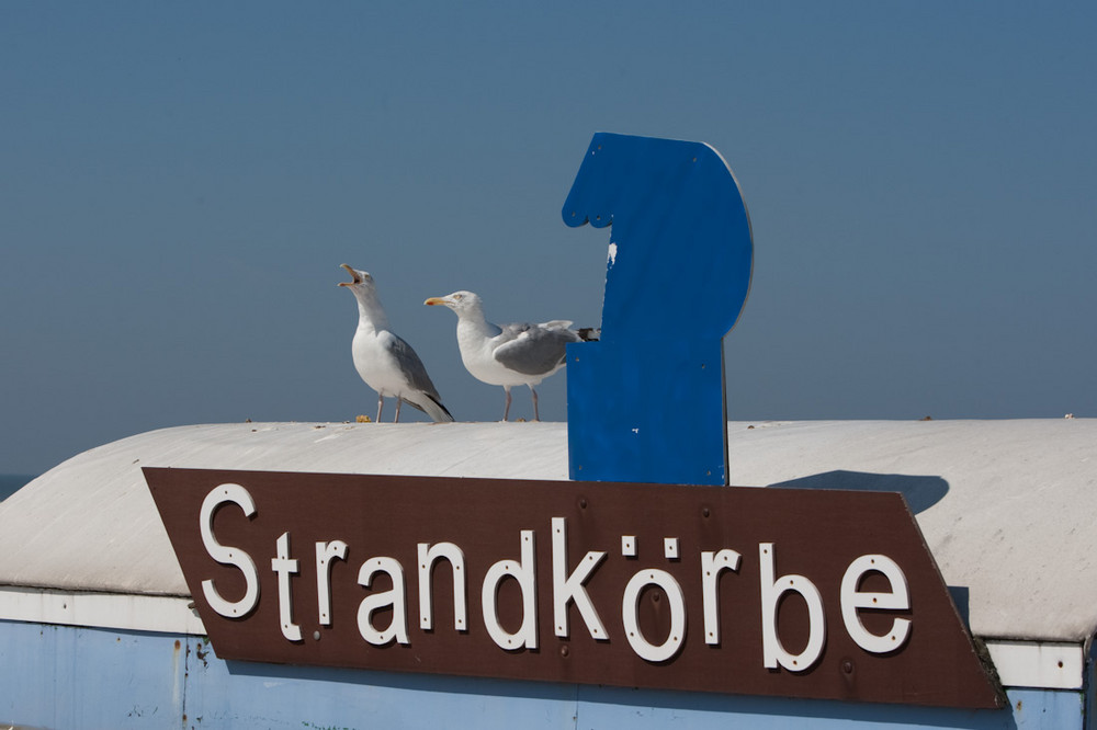 Warm ist es. Strandkörbe zu vermieten!