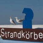 Warm ist es. Strandkörbe zu vermieten!