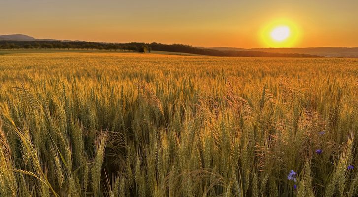 warm kurz vor Schluß