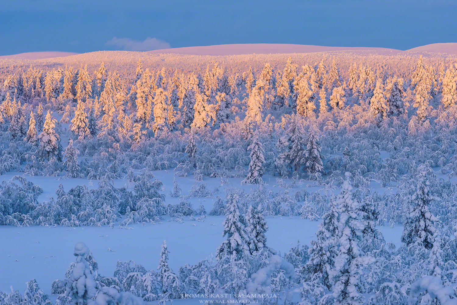 Warm light - Warmes Licht