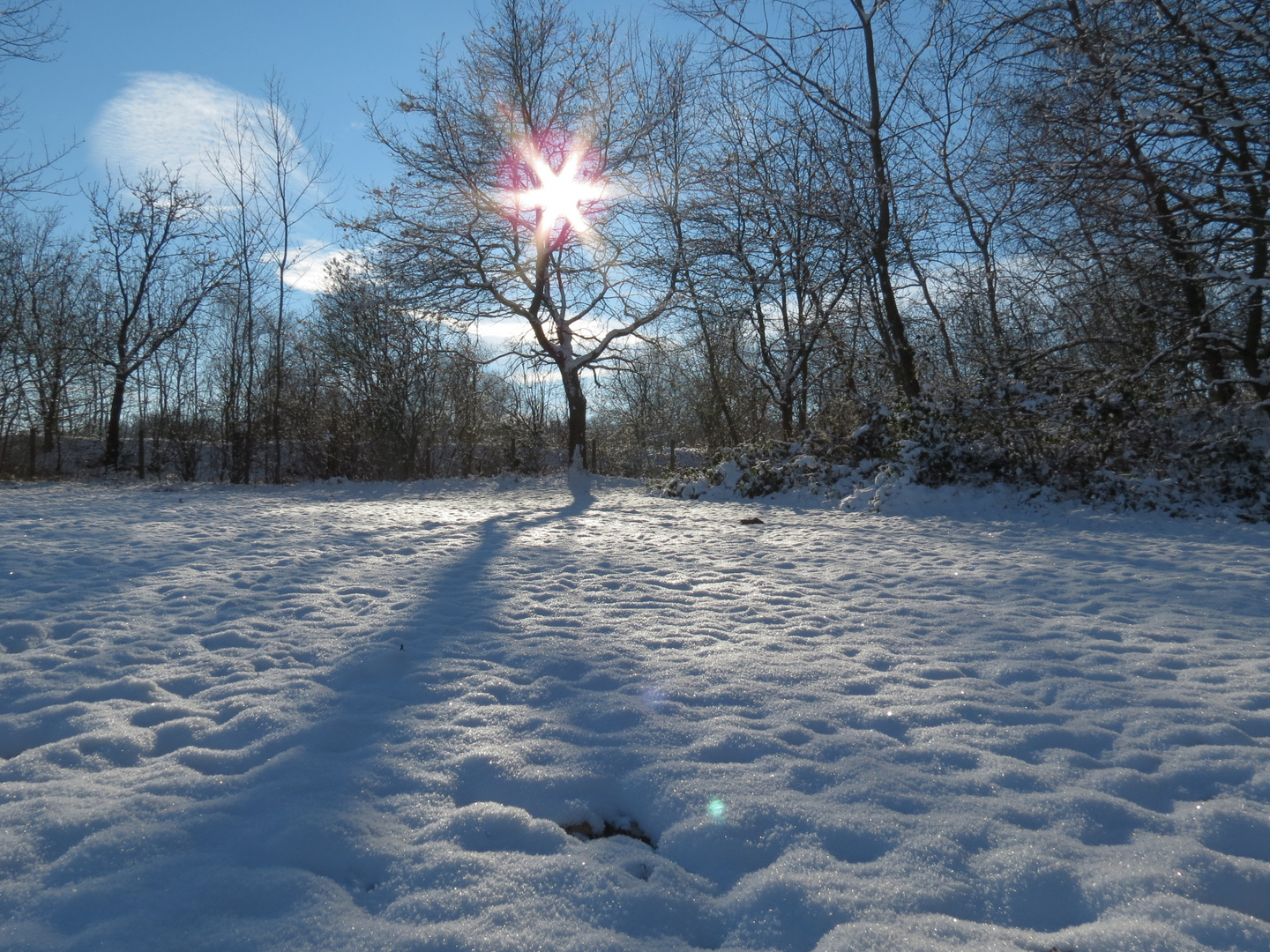 warm oder kalt?