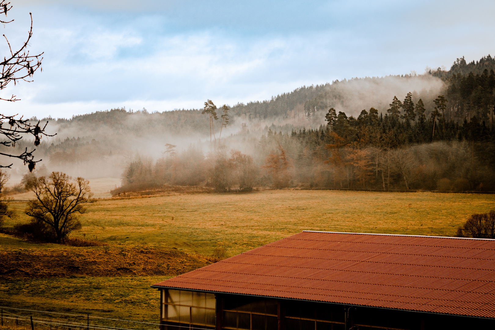 Warm Winterday