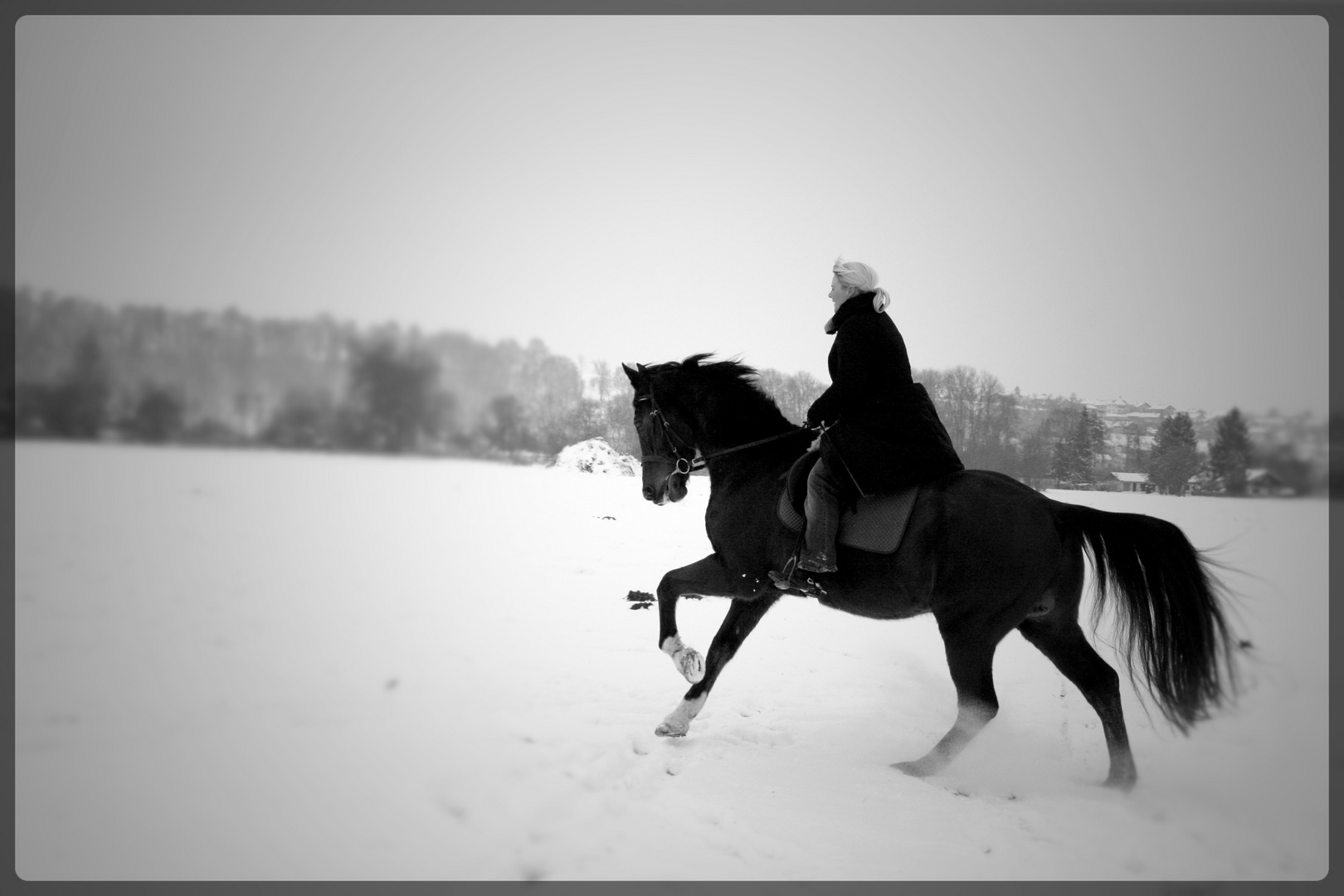 Warmblut mit Reiterin im Schnee