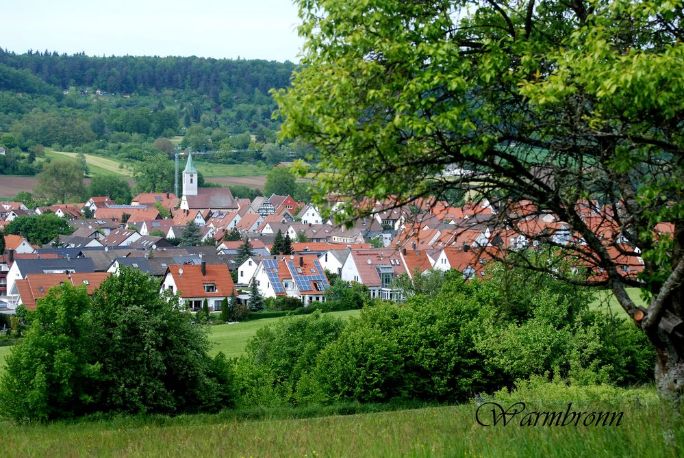 Warmbronn-2013-12