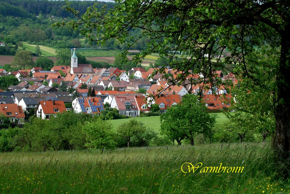 Warmbronn-2013-13