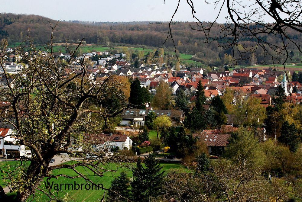 Warmbronn 3