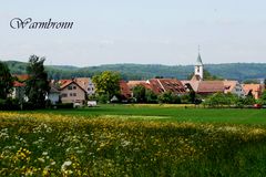 Warmbronn_2013_01