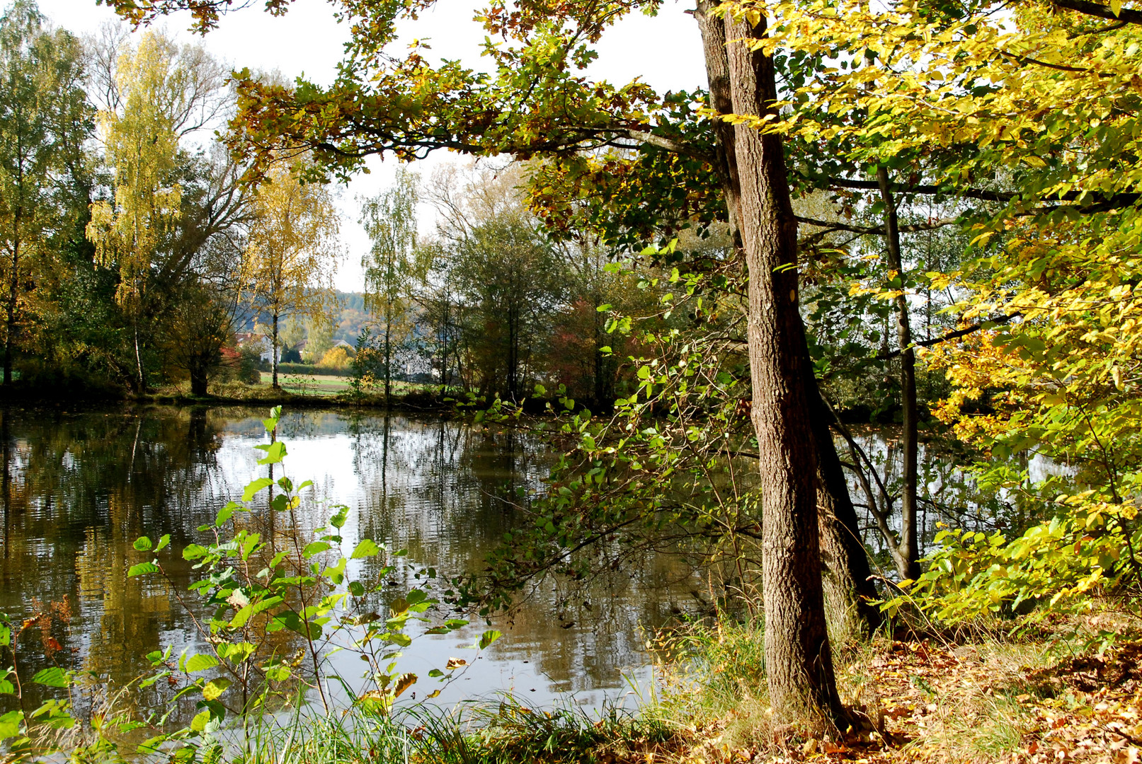 Warmbronner See im Herbst 2012