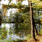 Warmbronner See im Herbst 2012