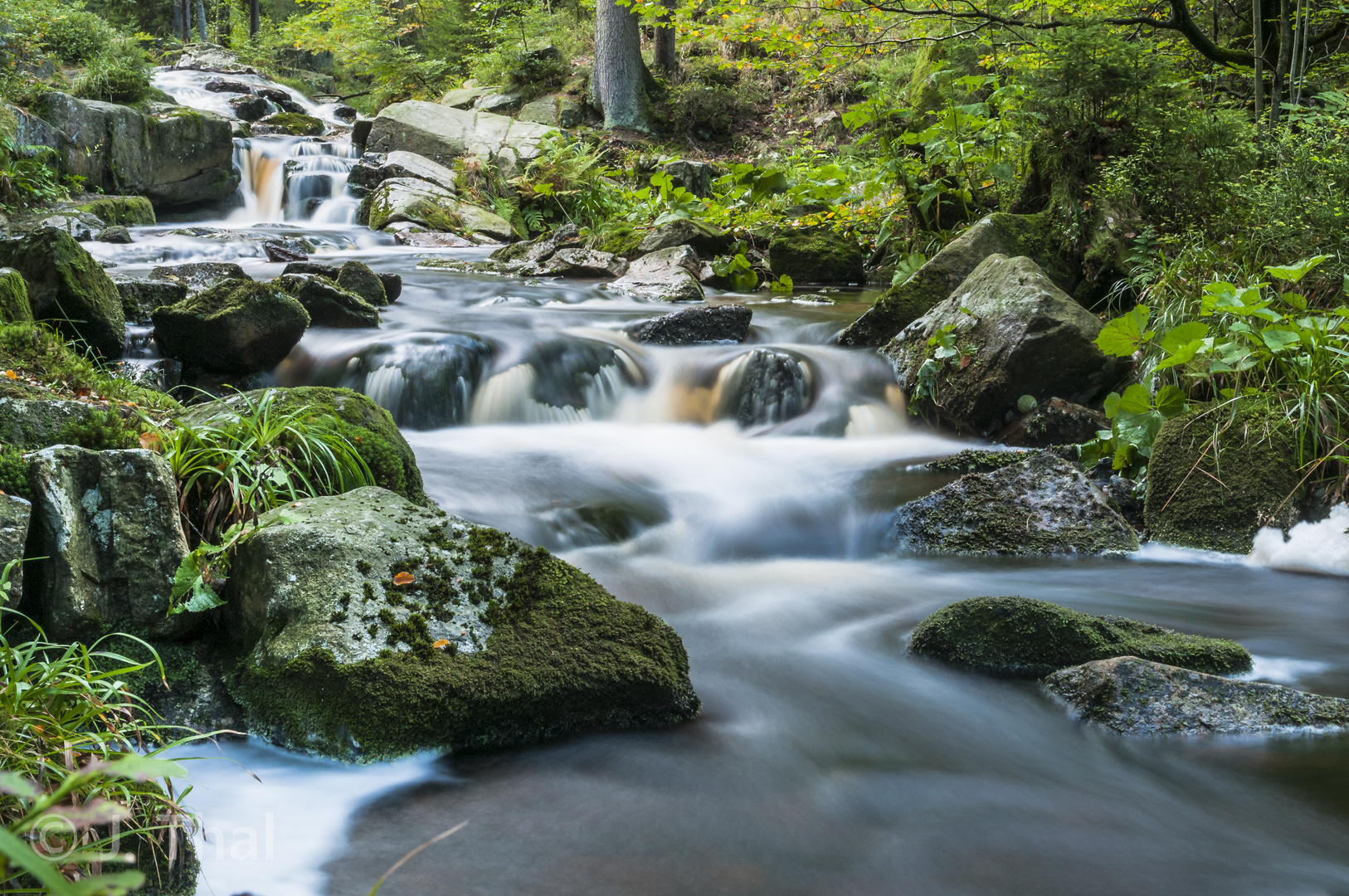 Warme Bode, Braunlage, Harz