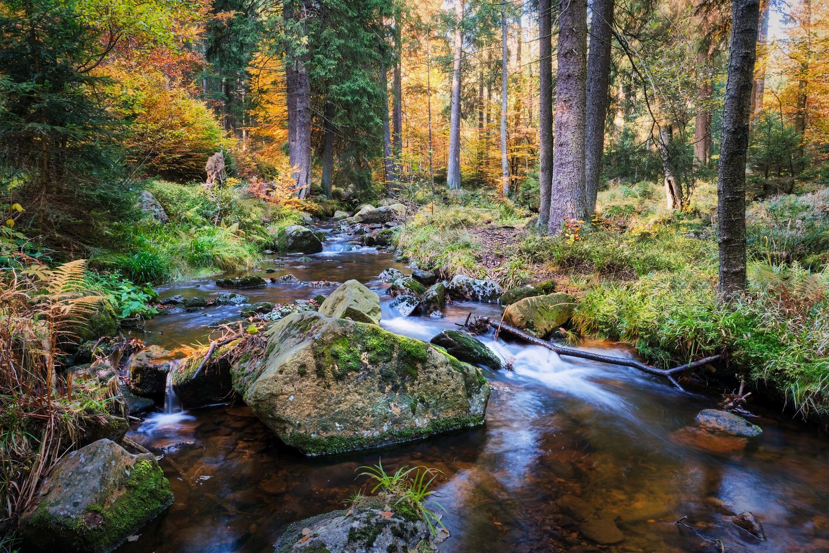 Warme Bode | Harz