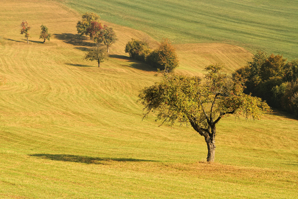 warme Farben