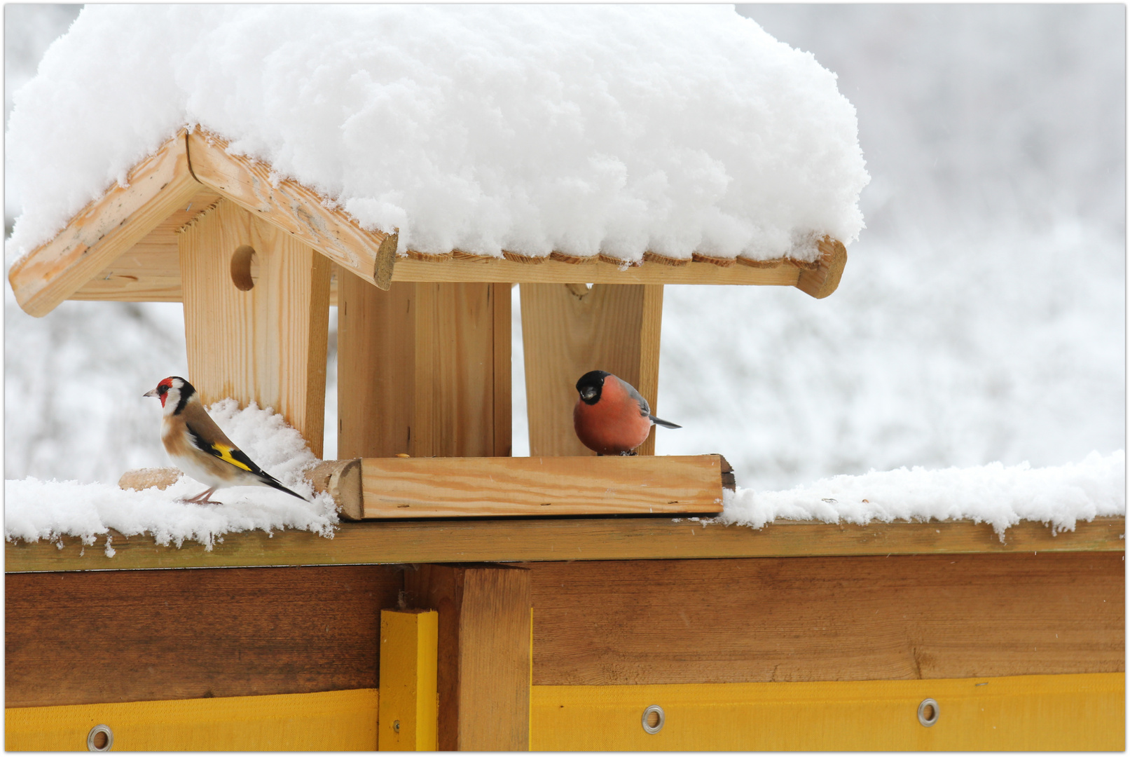 warme Farben an kalten Wintertagen