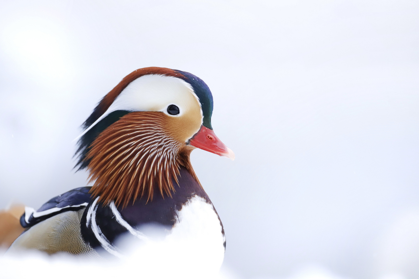 Warme Farben im kalten Schnee