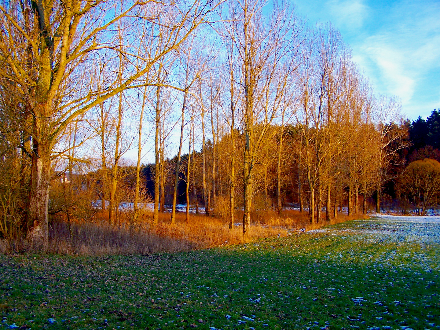 Warme Farben - kalter Tag