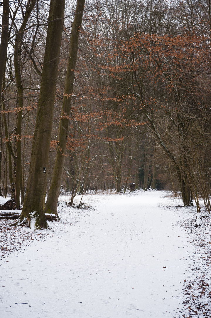 Warme Farbtöne in der Kälte