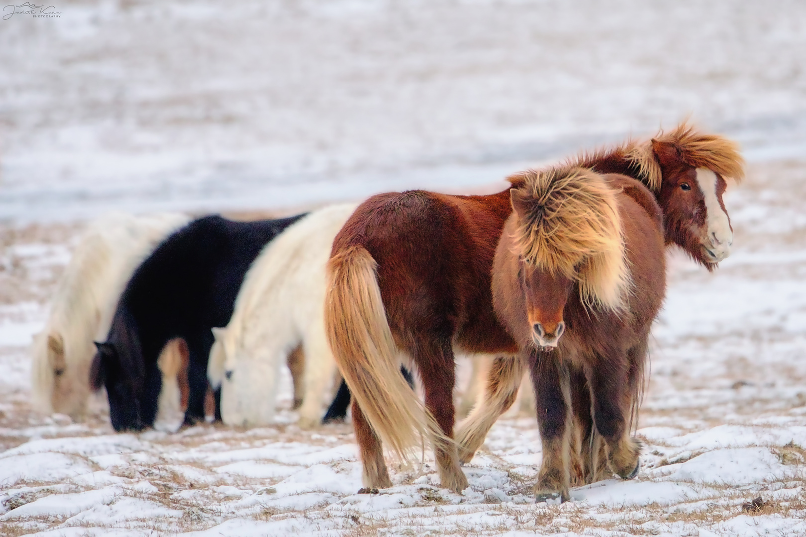 warme Herzen im Schnee
