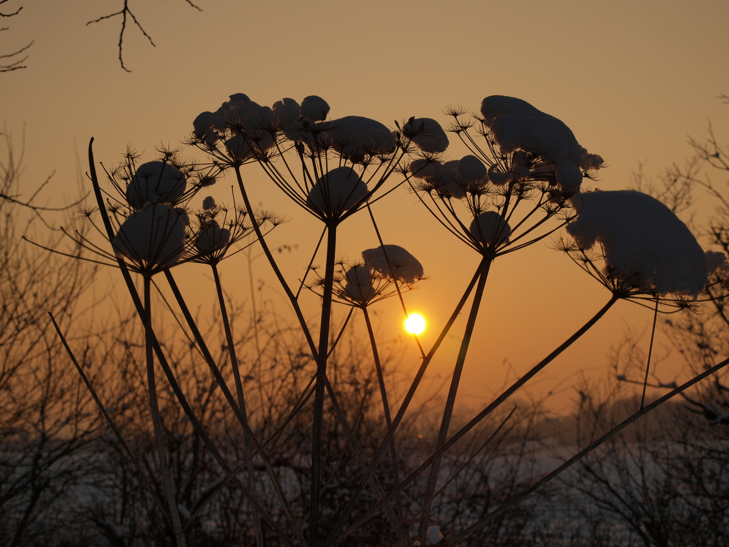 Warme Momente im kalten Winter