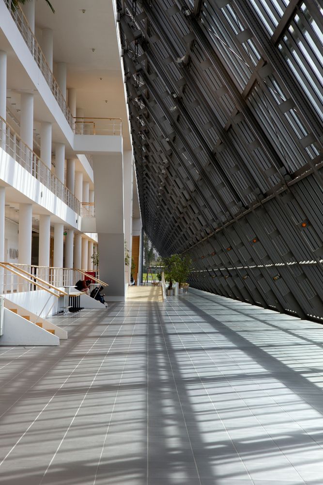 Warme Schatten in einer Kühlen Umgebung.