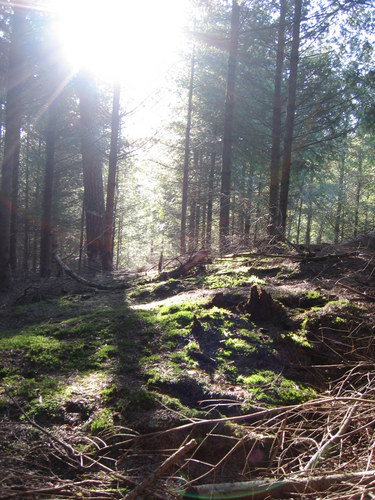 warme sonnenstrahlen