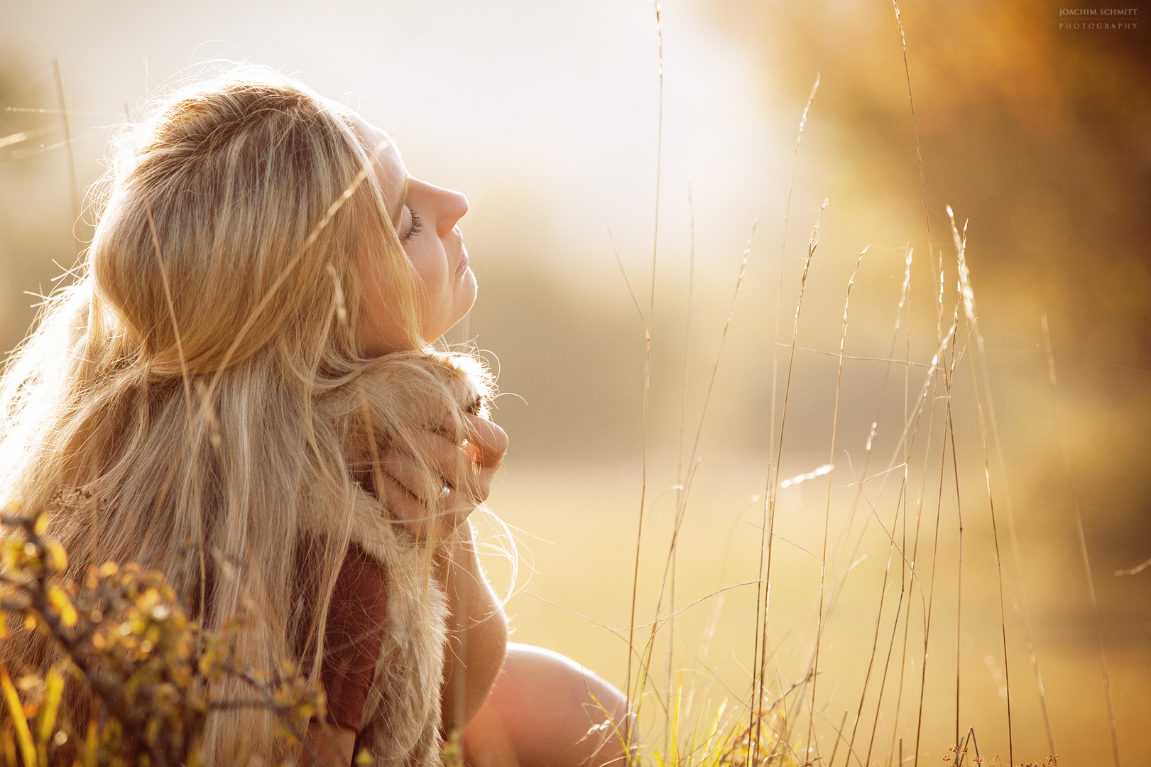 warme Sonnenstrahlen im Herbst