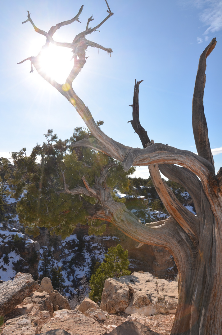 Warme Sonnenstrahlen über dem Grand Canyon