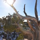 Warme Sonnenstrahlen über dem Grand Canyon