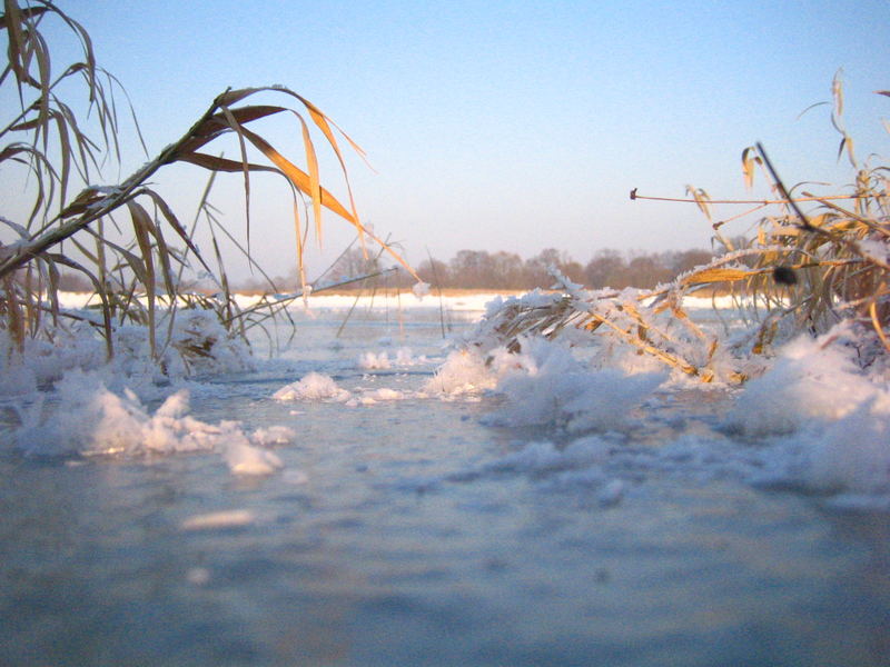 warme Wintersonne auf dem Eis