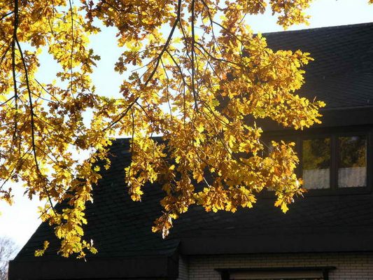 Warmer 15. November 2006