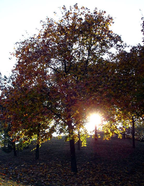 Warmer Herbst im Oktober