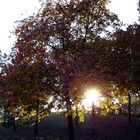 Warmer Herbst im Oktober