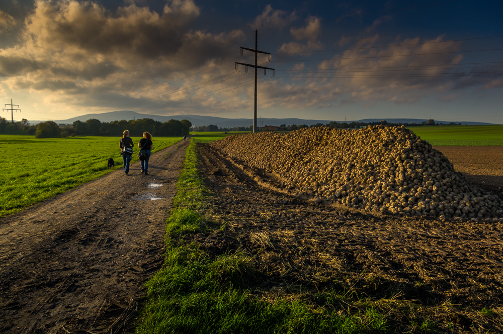 Warmer Herbstsonntag