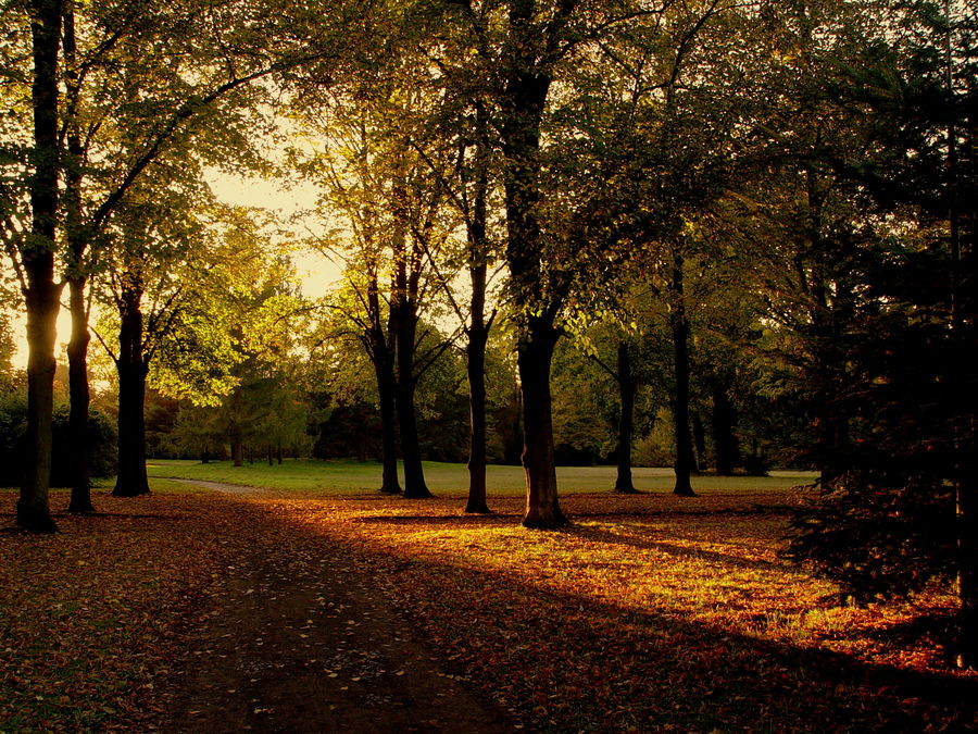 warmer Herbstspaziergang