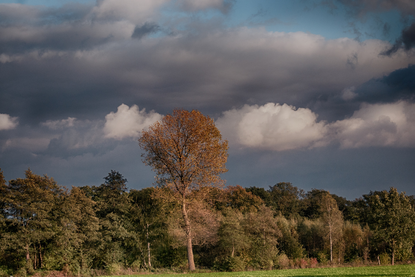 Warmer Herbsttag