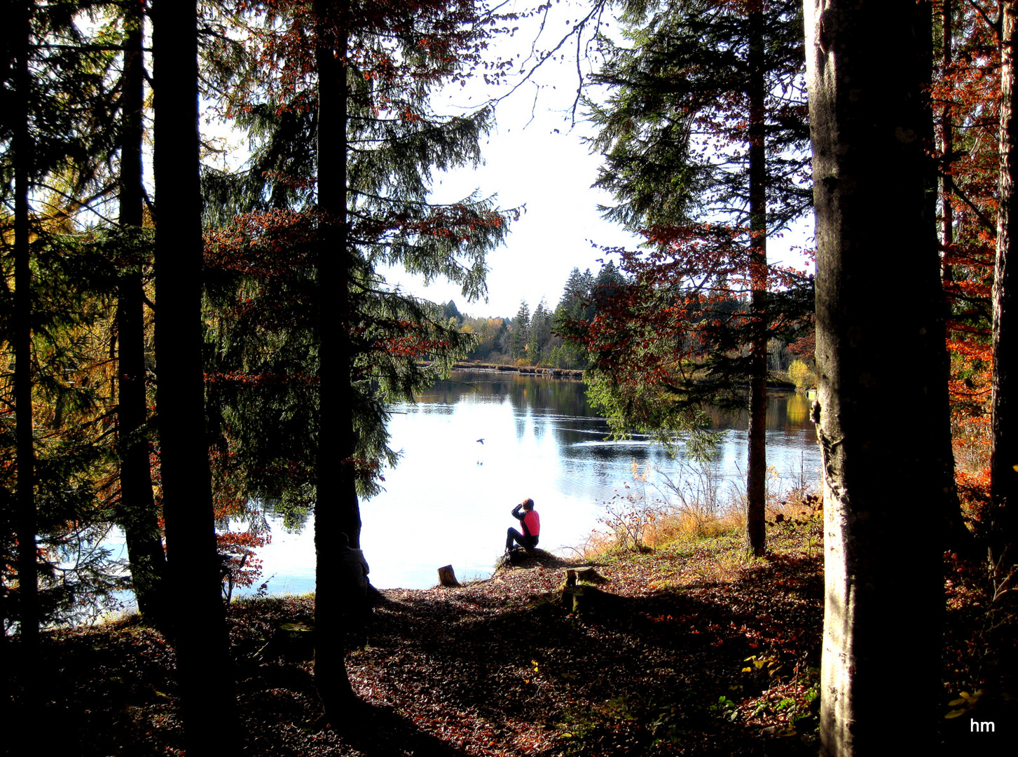 Warmer November am Waldsee Lindenberg