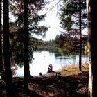 Warmer November am Waldsee Lindenberg