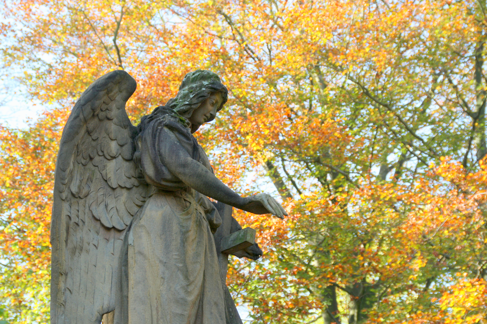 Warmer November auf dem Lindener Friedhof