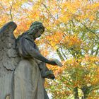 Warmer November auf dem Lindener Friedhof