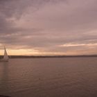 warmer Novembertag auf dem Neusiedlersee