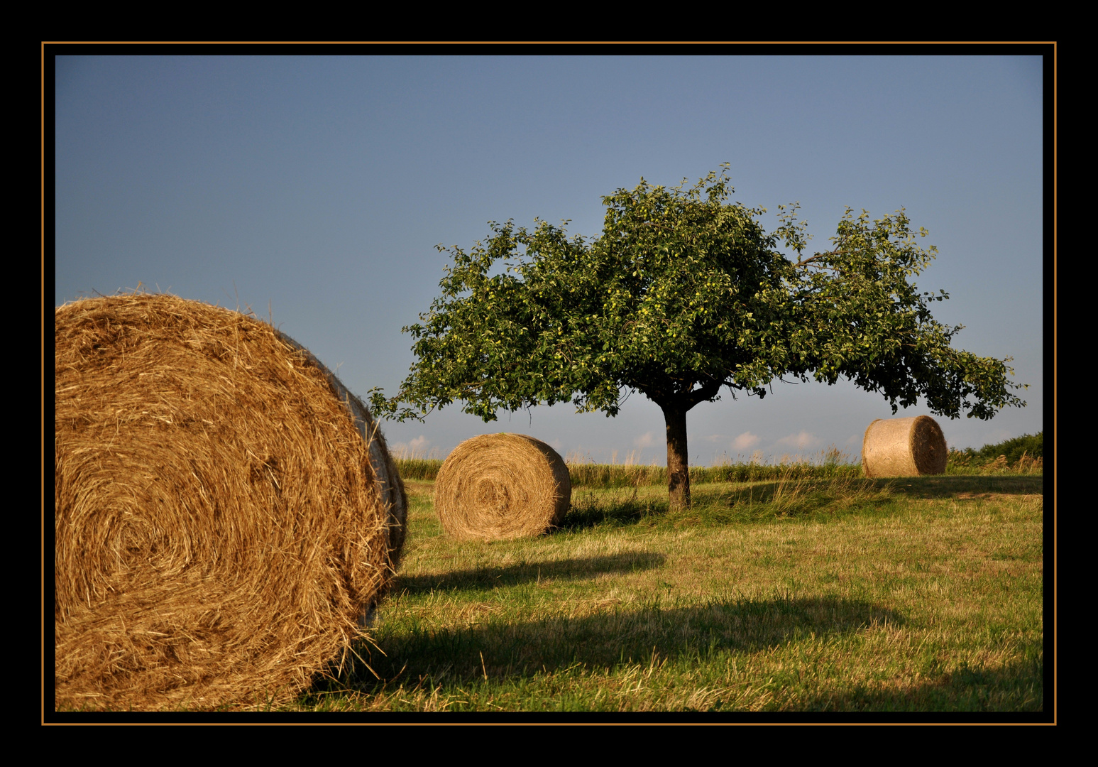 Warmer Sommer Abend 2010