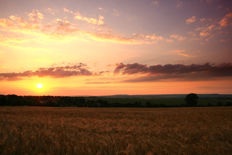 Warmer Sommerabend