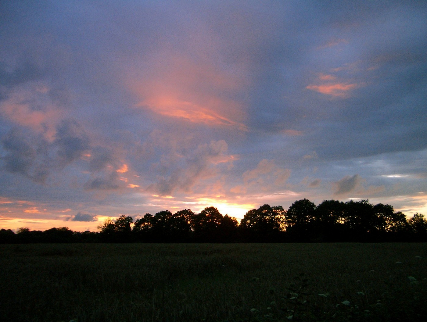 Warmer Sommerabend