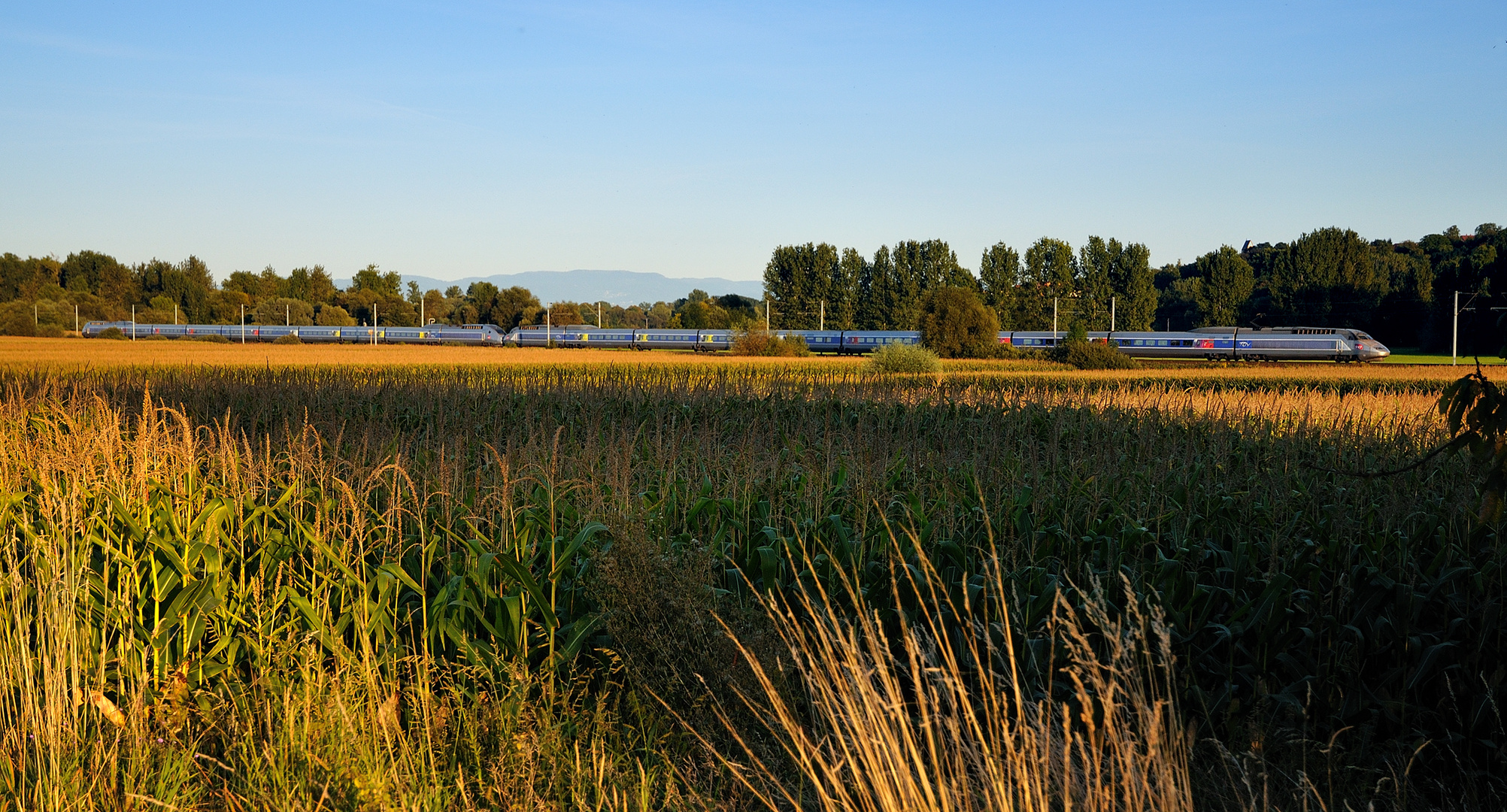 Warmer Sommerabend im Elsaß