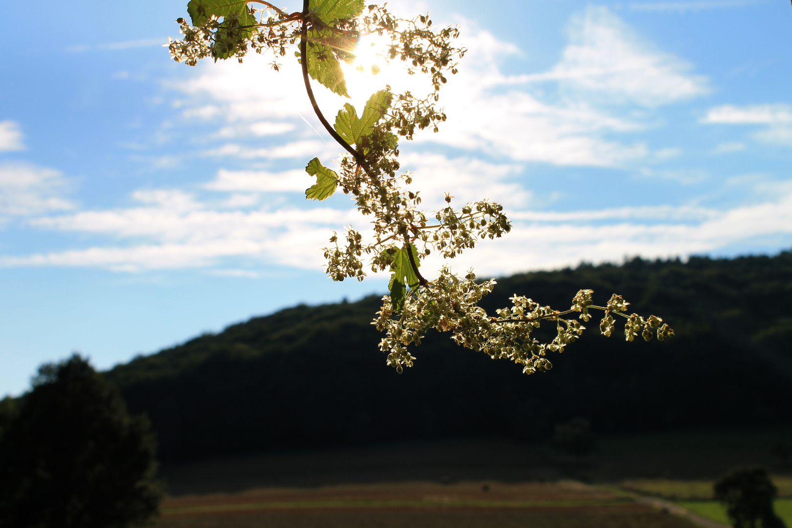 Warmer Sonnenschein