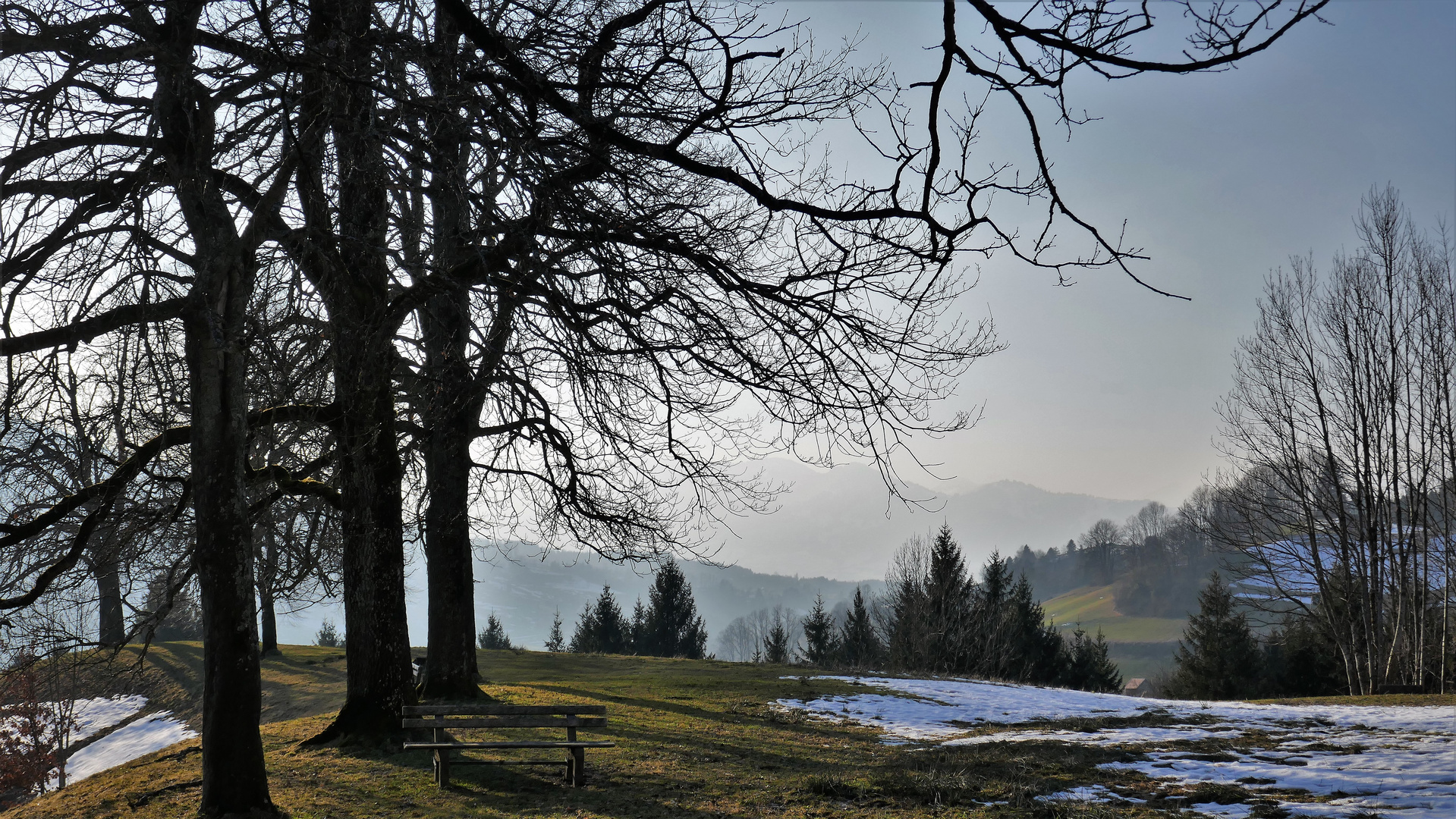 Warmer Spätnachmittag im Januar