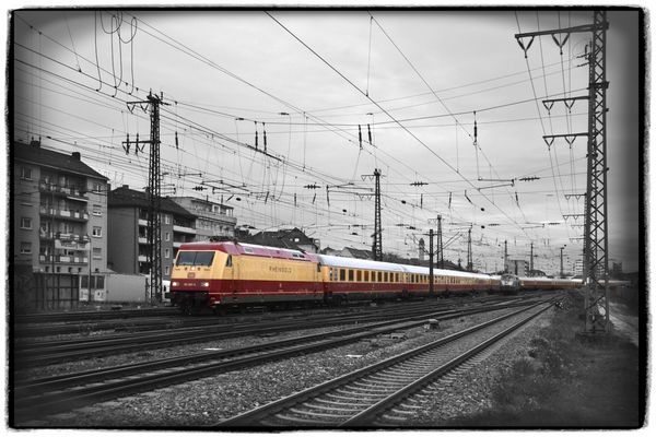 Warmer TEE im trist kalten Novembergrau