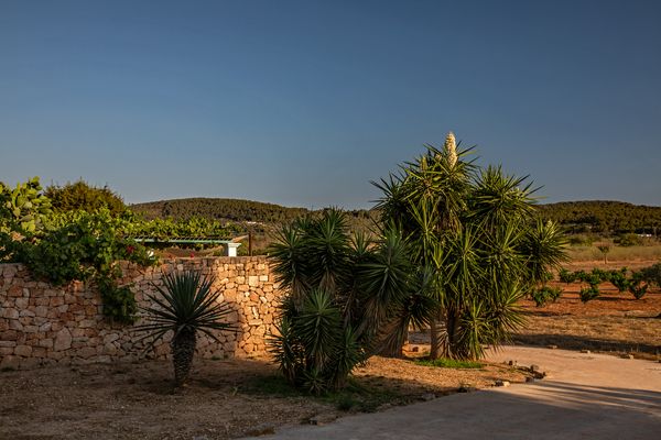  - warmes Abendlicht -