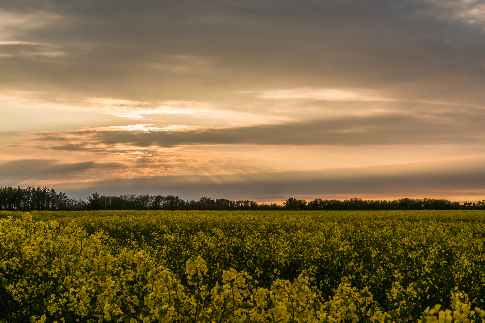 Warmes Abendlicht