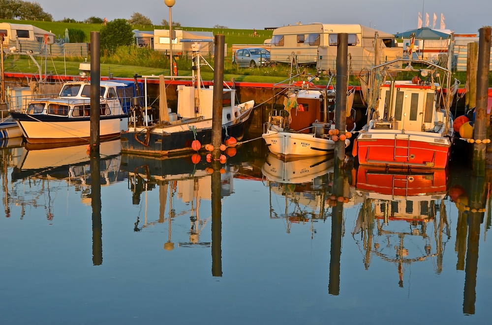 Warmes Abendlicht im Kutterhafen Wremen